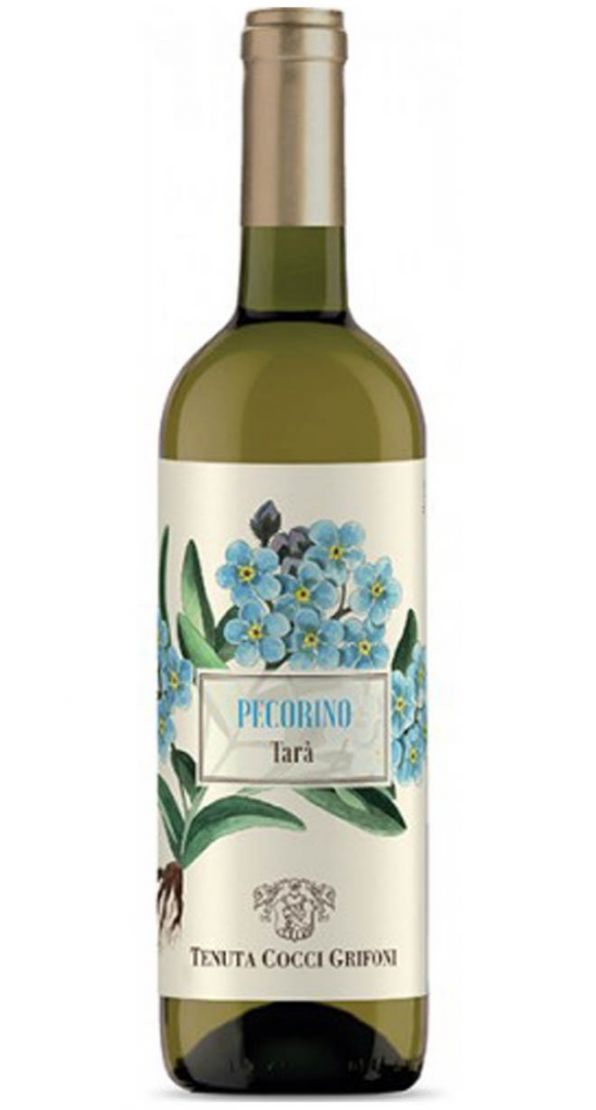 Falerio Pecorino DOC - TARA' 2024 - Cocci Grifoni
