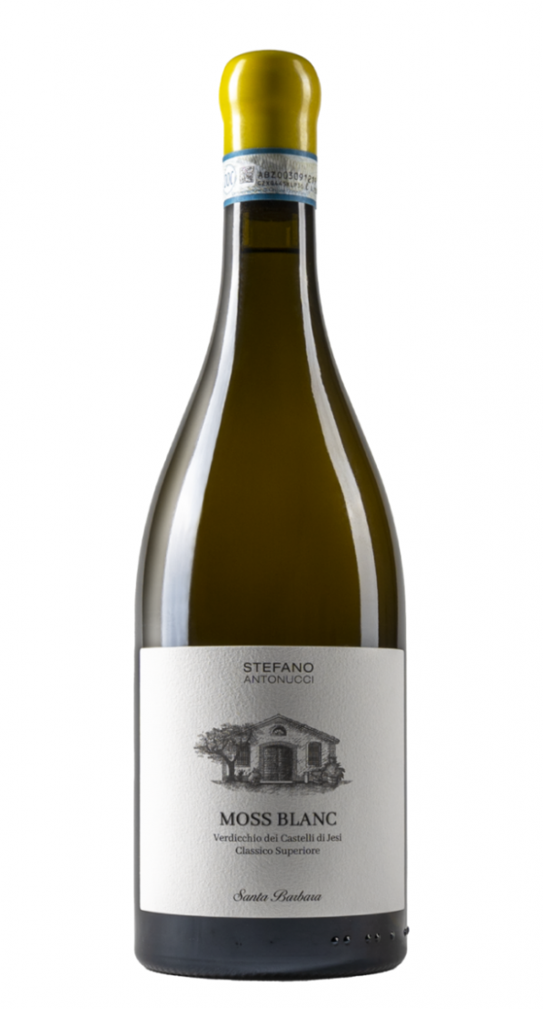 Verdicchio dei Castelli di Jesi Classico Superiore - MOSS BLANC - Santa Barbara 2019