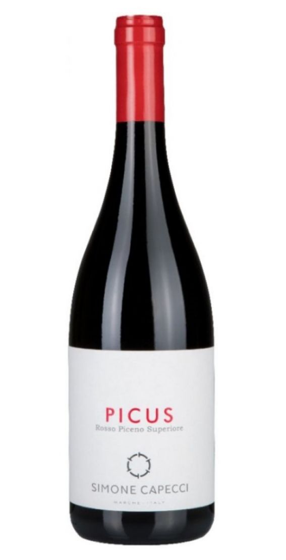 Rosso Piceno Superiore DOC - PICUS 2023 - Simone Capecci