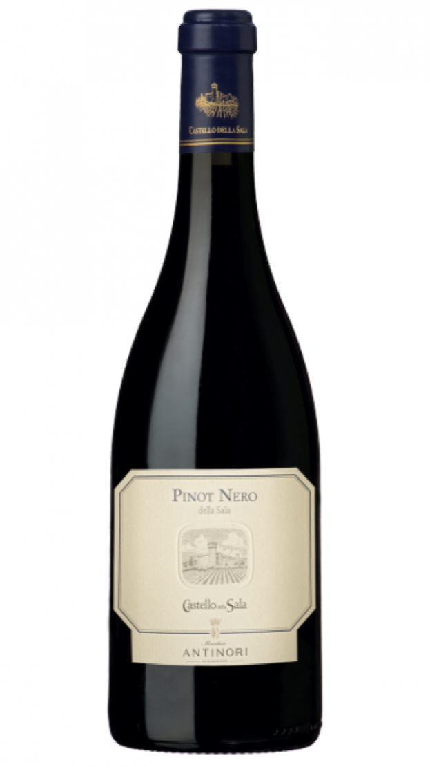 Pinot Nero Castello della Sala 2022 - Antinori